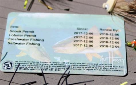 fishing license michigan price.